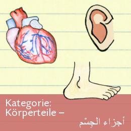 DAFG-Bildwoerterbuch Deutsch-Arabisch